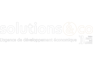 LOGO - Solution and Co - B
