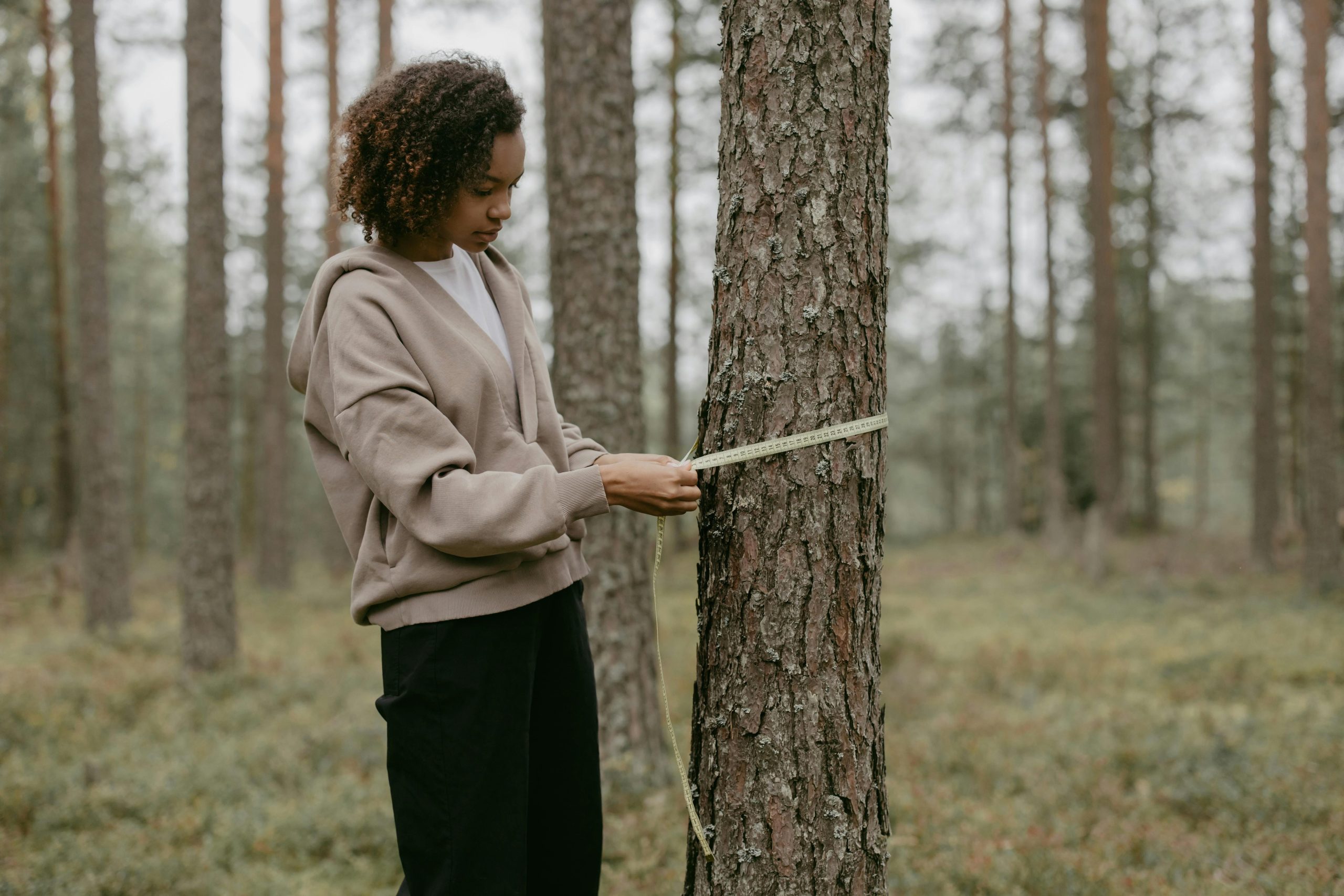 Une jeune femme dans une forêt mesure le tronc d'un arbre avec un mètre ruban.