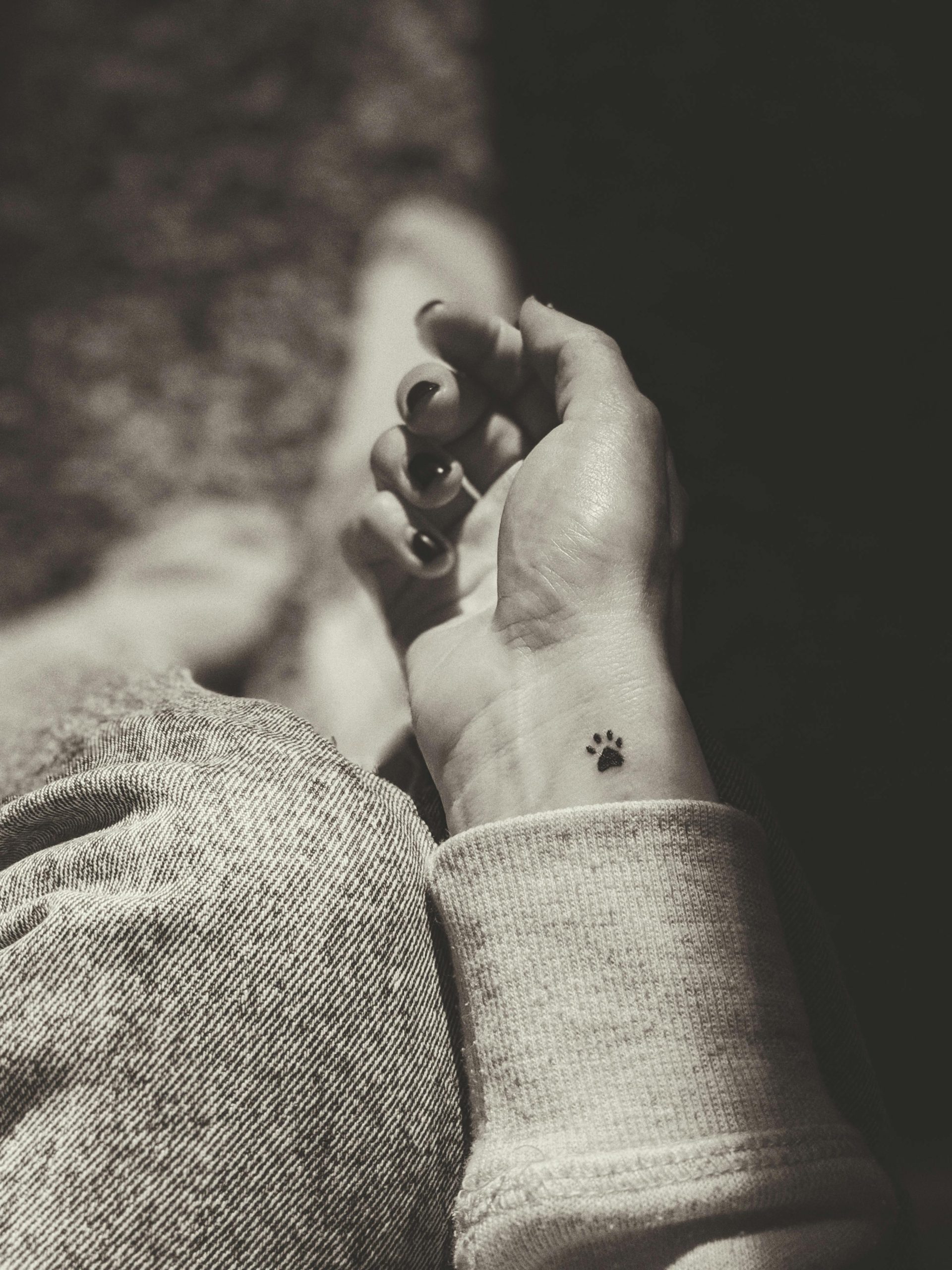 Tatouage patte de chat signification symbolique