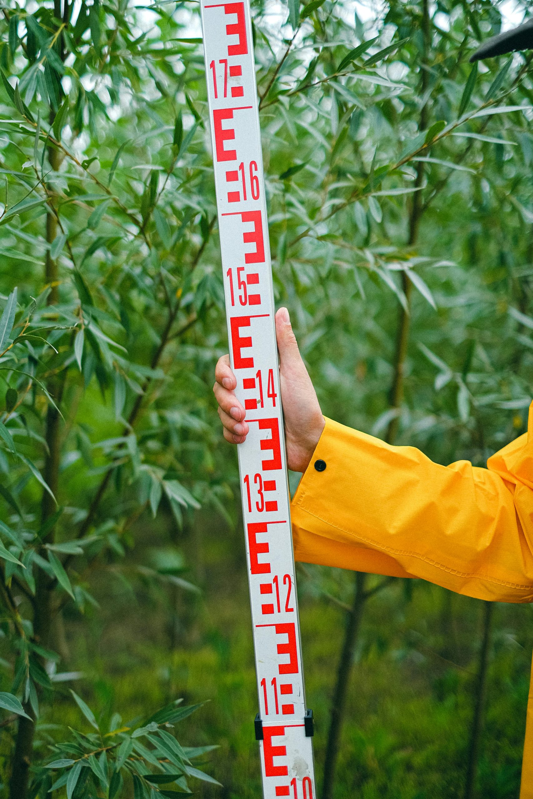 Crop anonymous farmer standing near trees and measuring height of plants in garden Agriculteur anonyme debout près des arbres et mesurant la hauteur des plantes dans le jardin