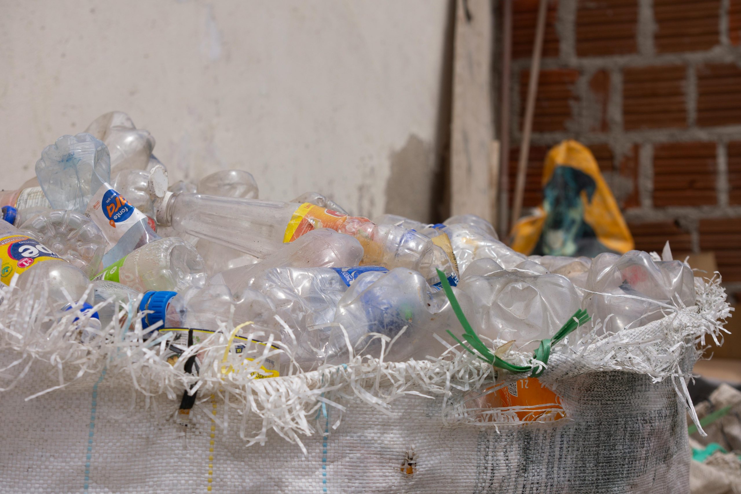 A collection of plastic bottles in a bin, ready for recycling, outdoors. Une collection de bouteilles en plastique dans une poubelle, prêtes à être recyclées, en extérieur.