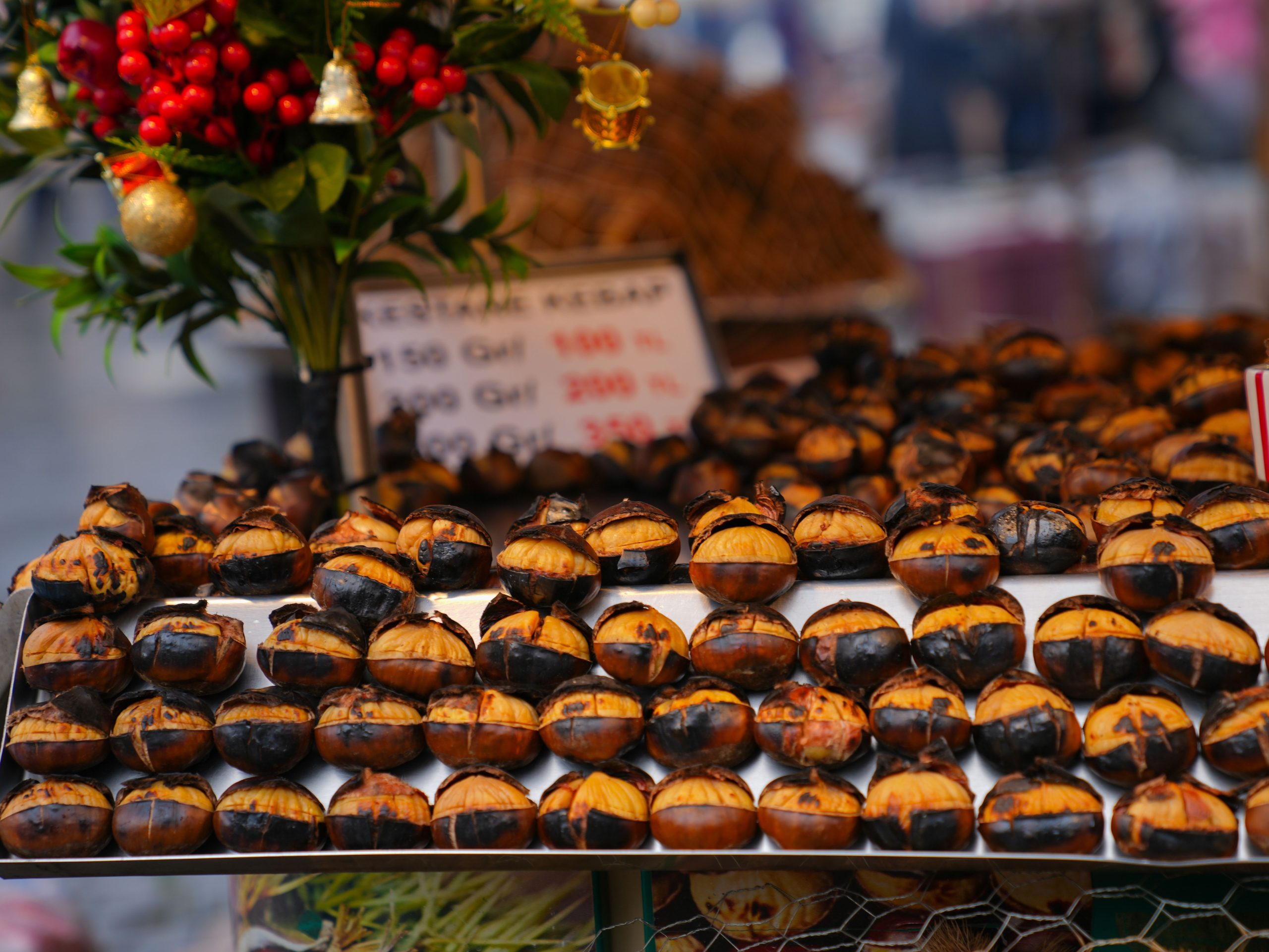 Marrons comestibles et toxiques