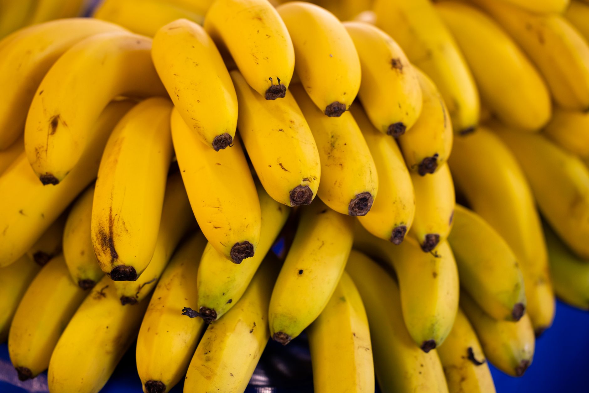 Régime de bananes mûres sur un étal de marché