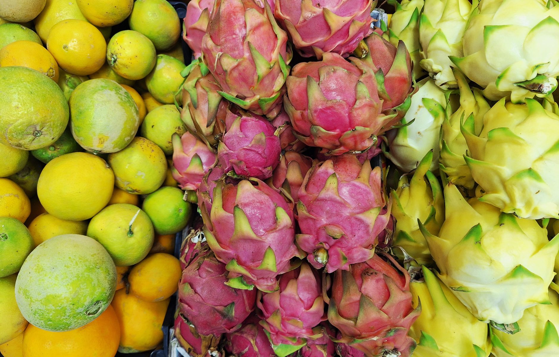 Fruits exotiques et agrumes colorés