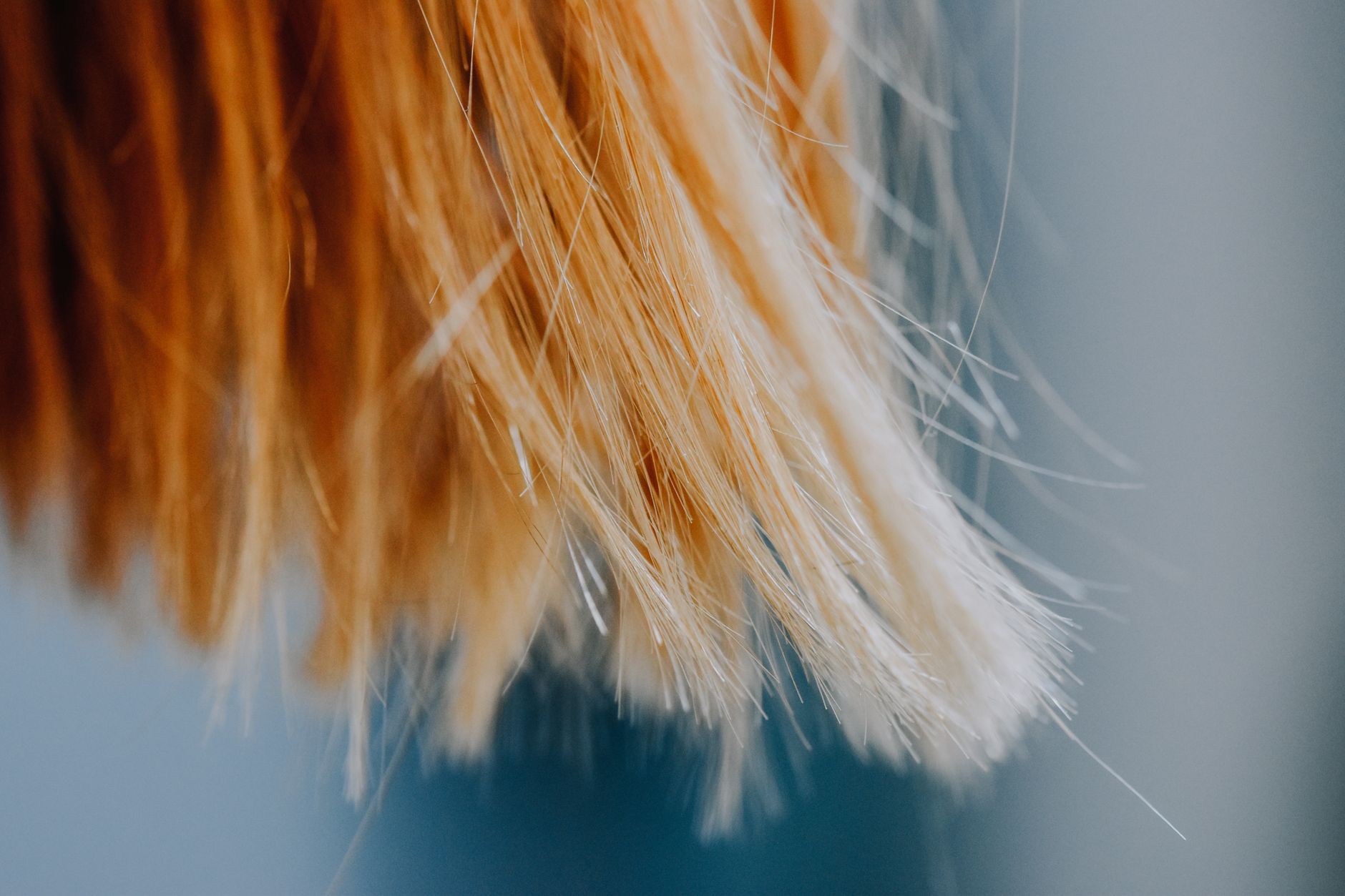 Portrait artistique autour des cheveux