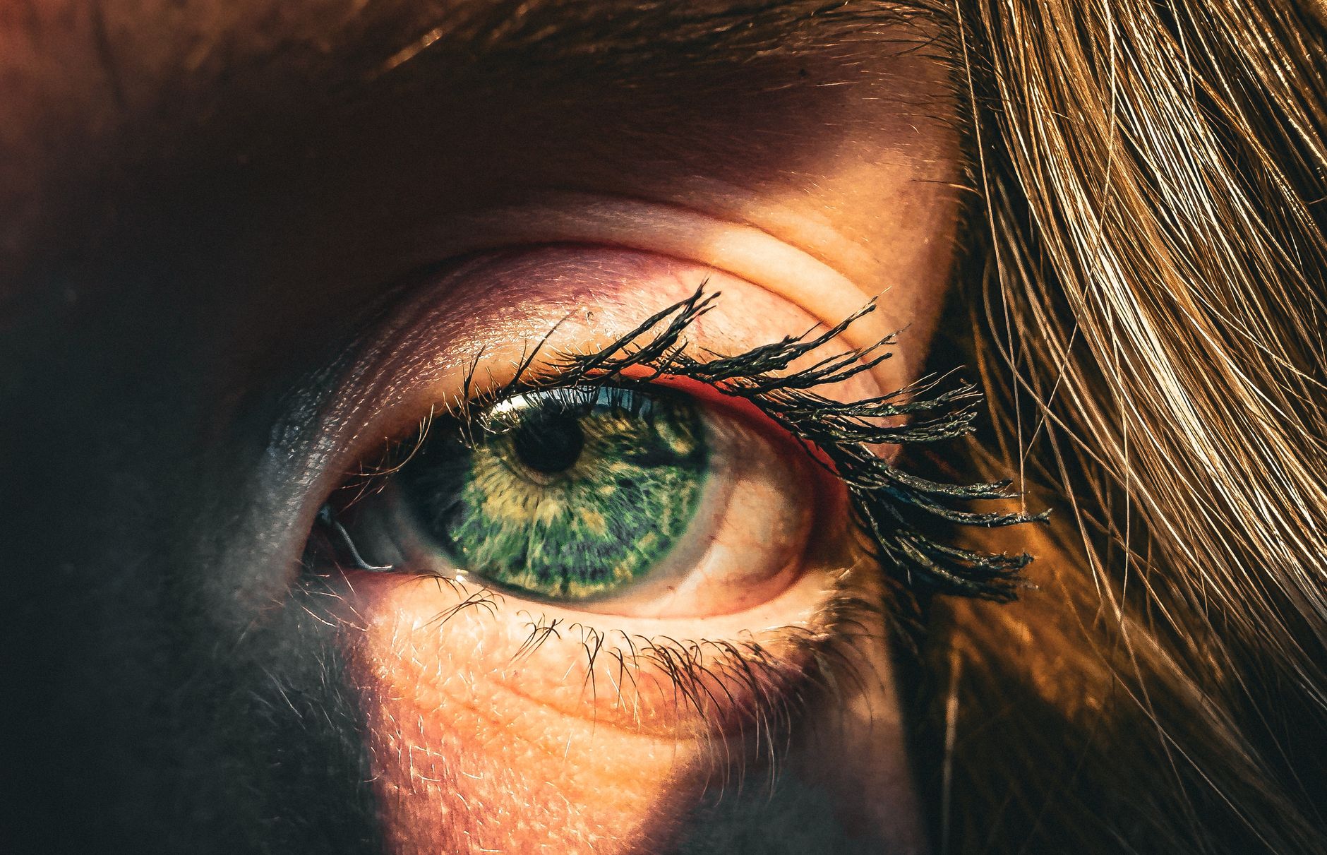 Oeil vert avec cils longs sous la lumiere
