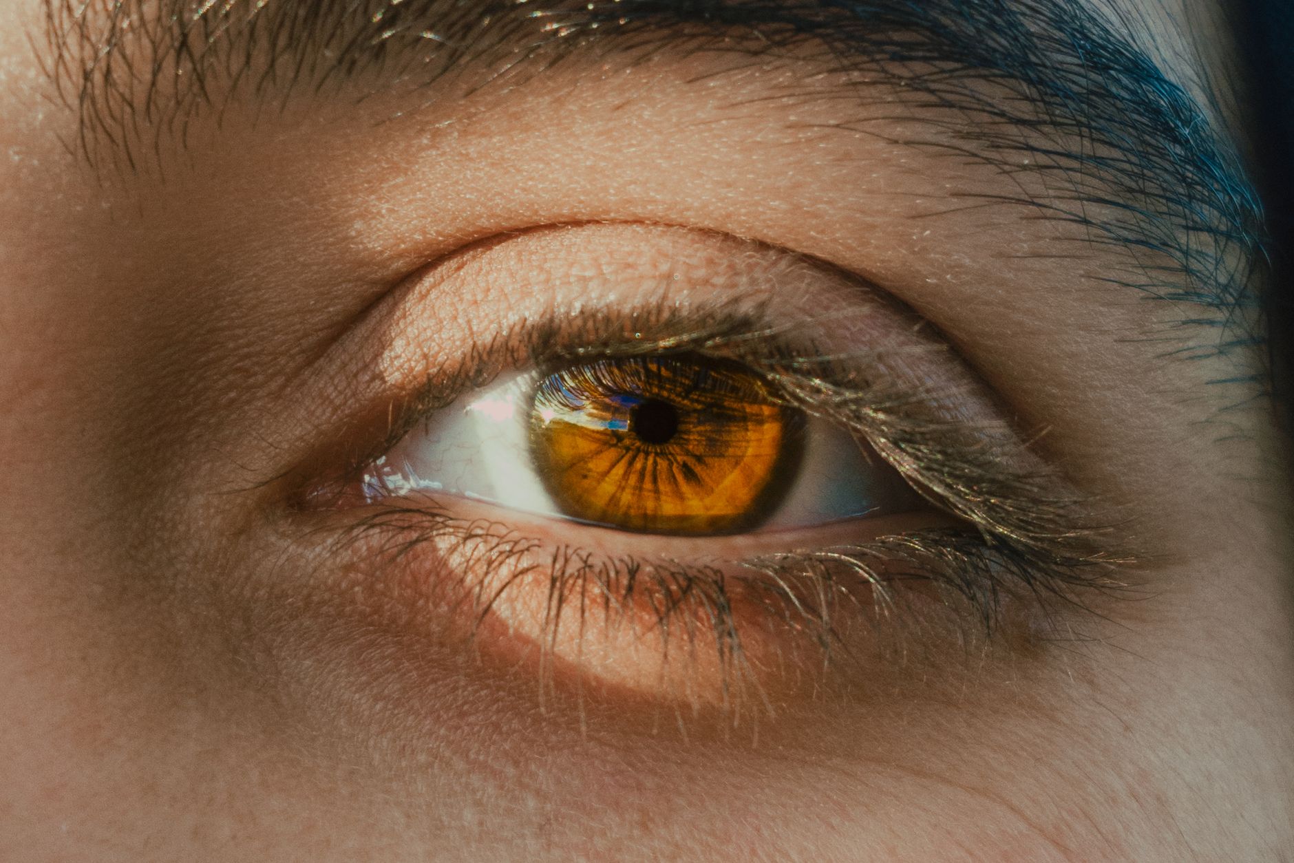 Gros plan sur un iris brun dore et ses cils