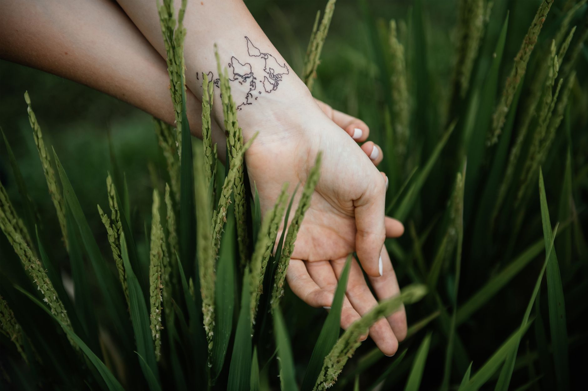 Mains tatouées posées sur du gazon