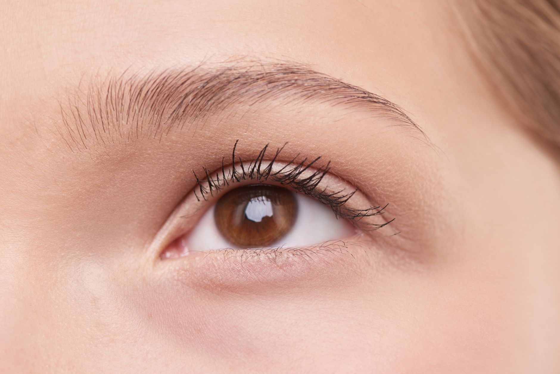 Oeil marron avec cils naturels bien fournis